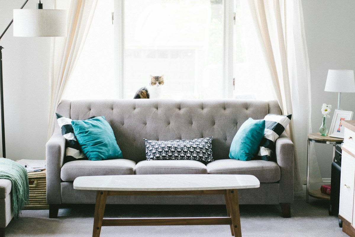 Best Furniture for Small Living Rooms