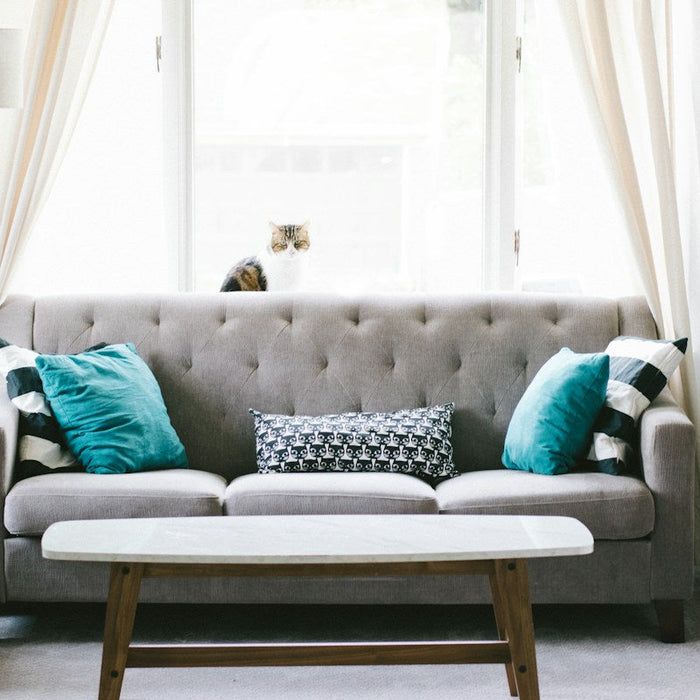 Best Furniture for Small Living Rooms